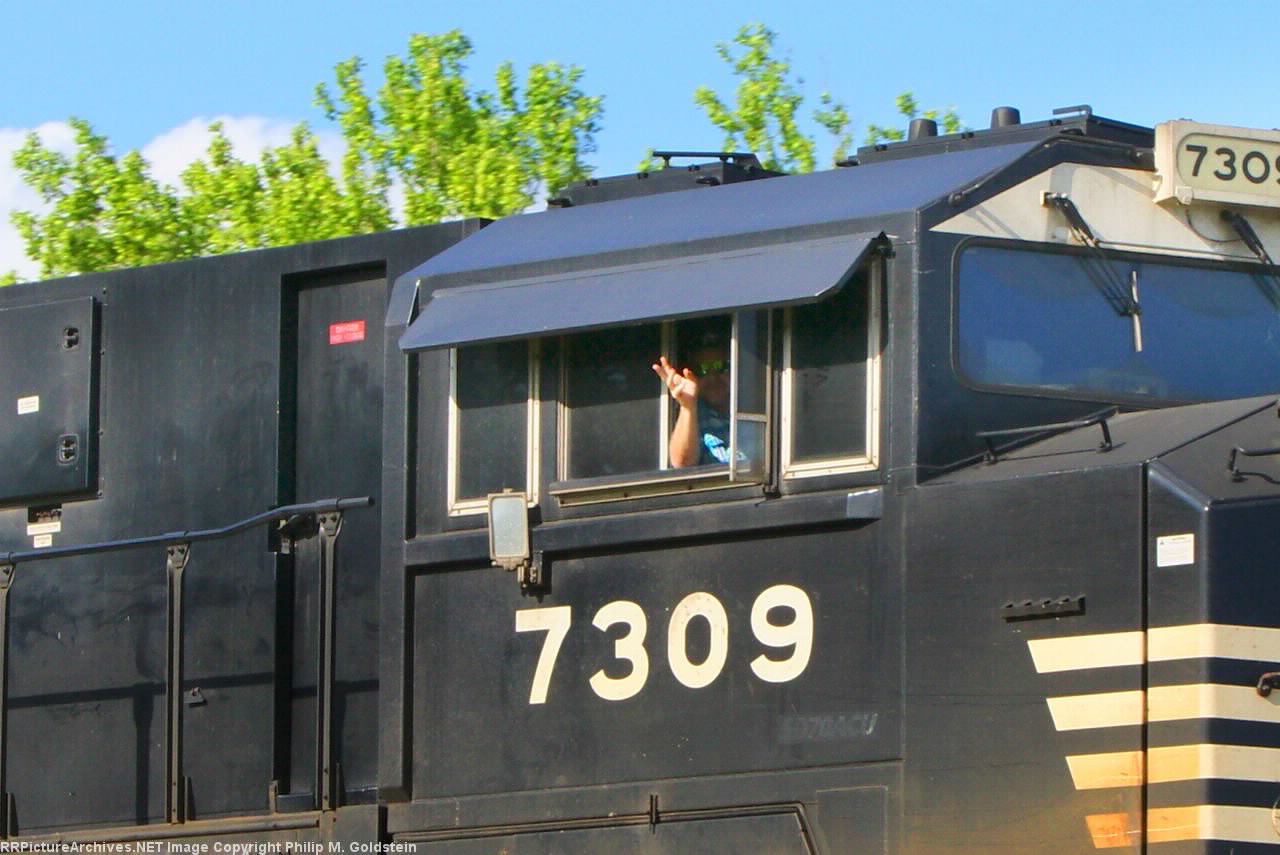 NS 7309 - window love never hurts